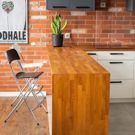 Redcity Loft 304 Zyrardow