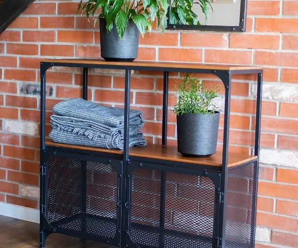 Apartment Redcity Loft 304 Zyrardow